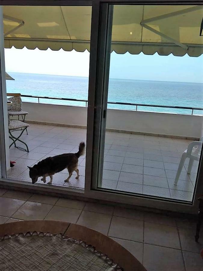 Seaside Beach House 希维利 外观 照片